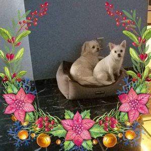 Meet your Posher, Ana